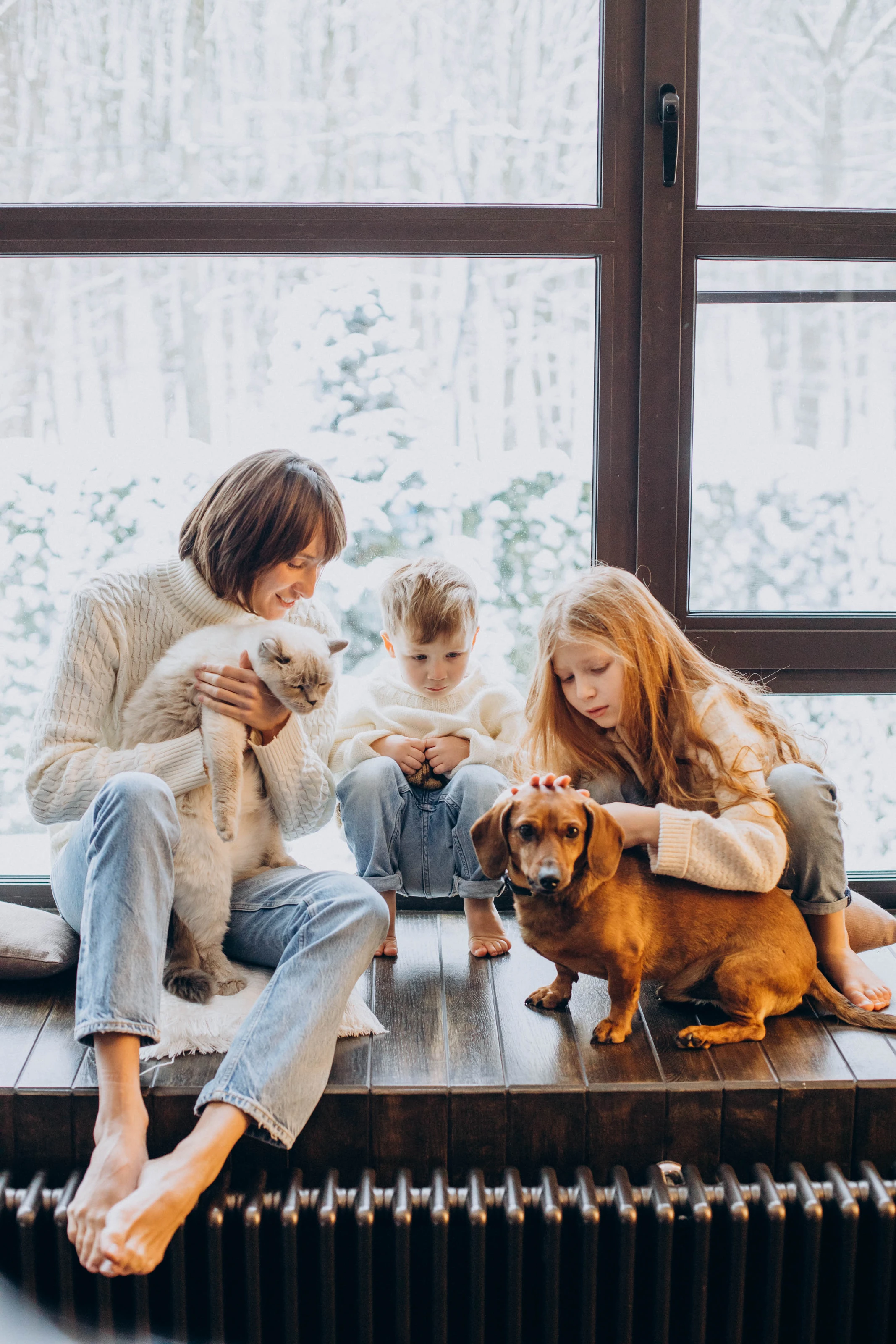 Window Companions Jigsaw
