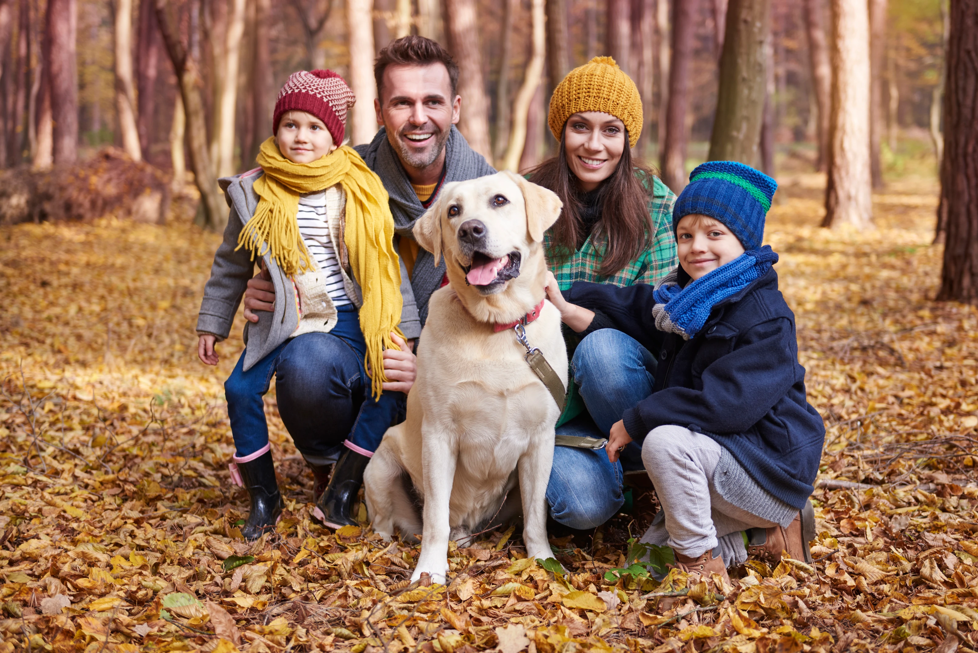 Family Paws in the Leaves