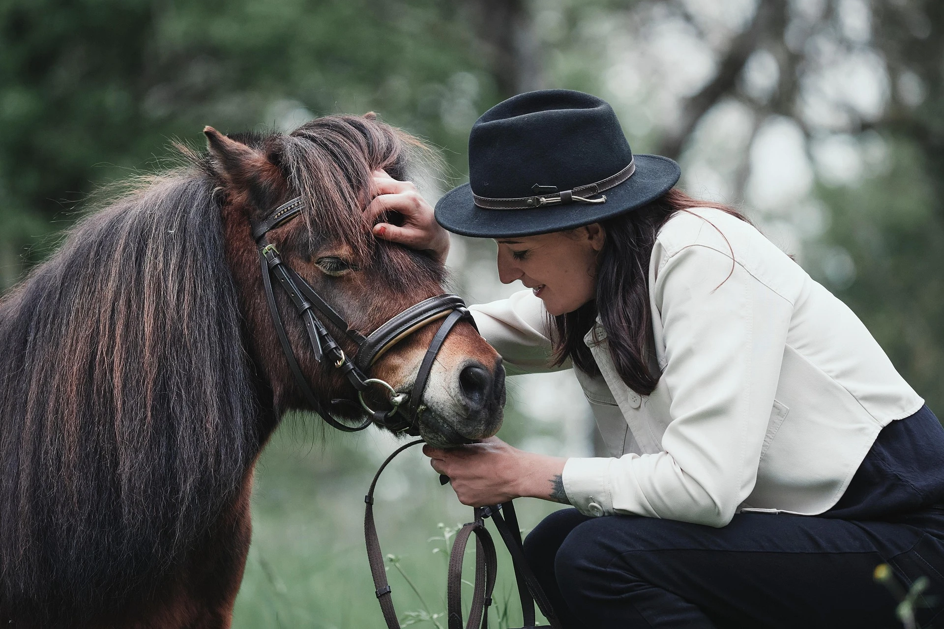 Horse and Hat Harmony
