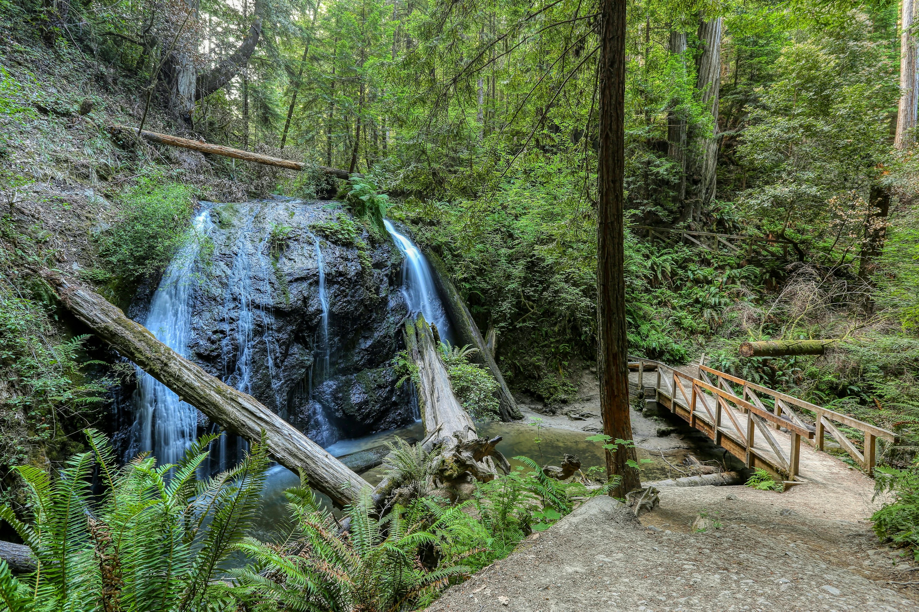 Redwood Forest Waterfall jigsaw puzzle