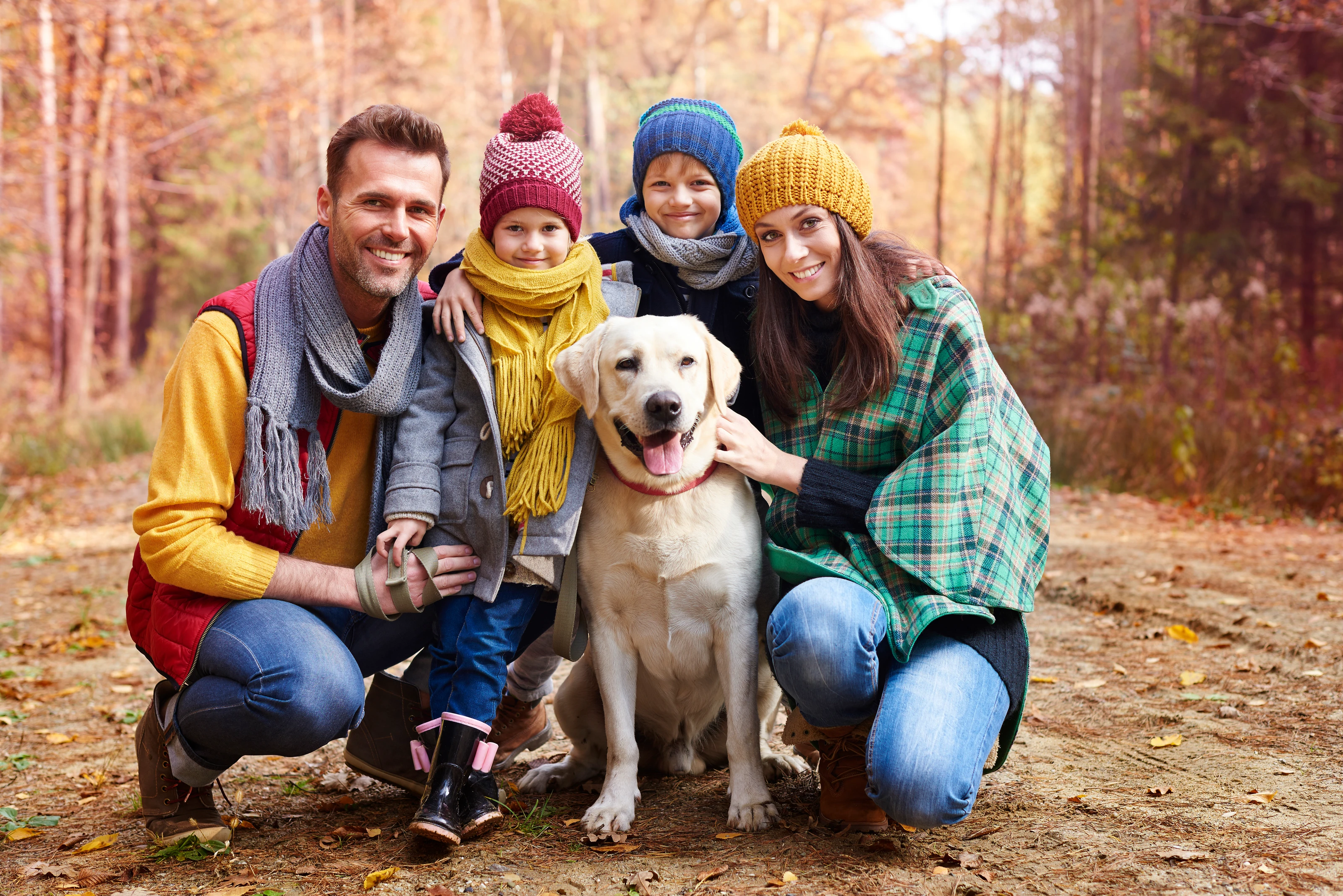 Autumn Family Dog Walk