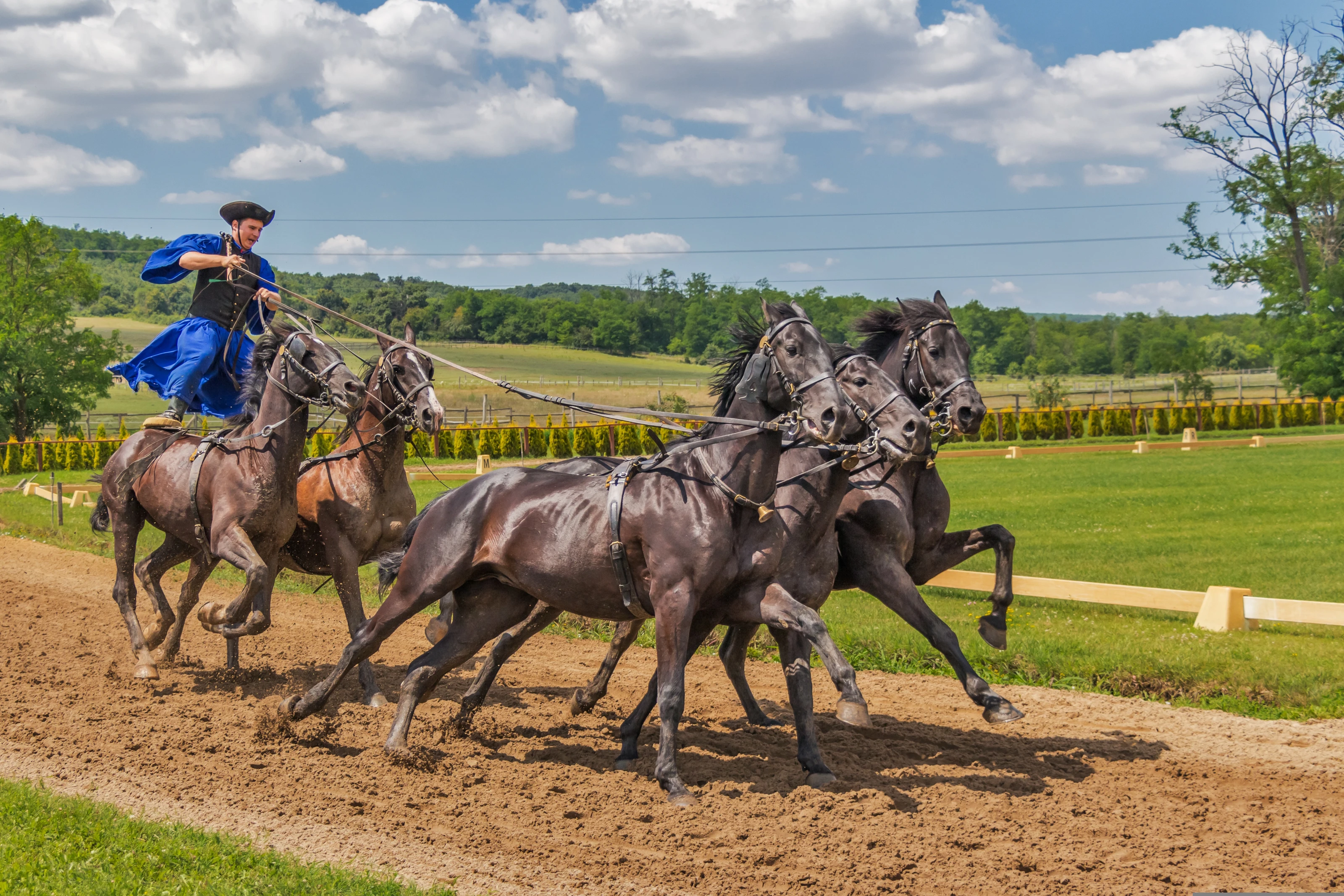 Hungarian Horse Show