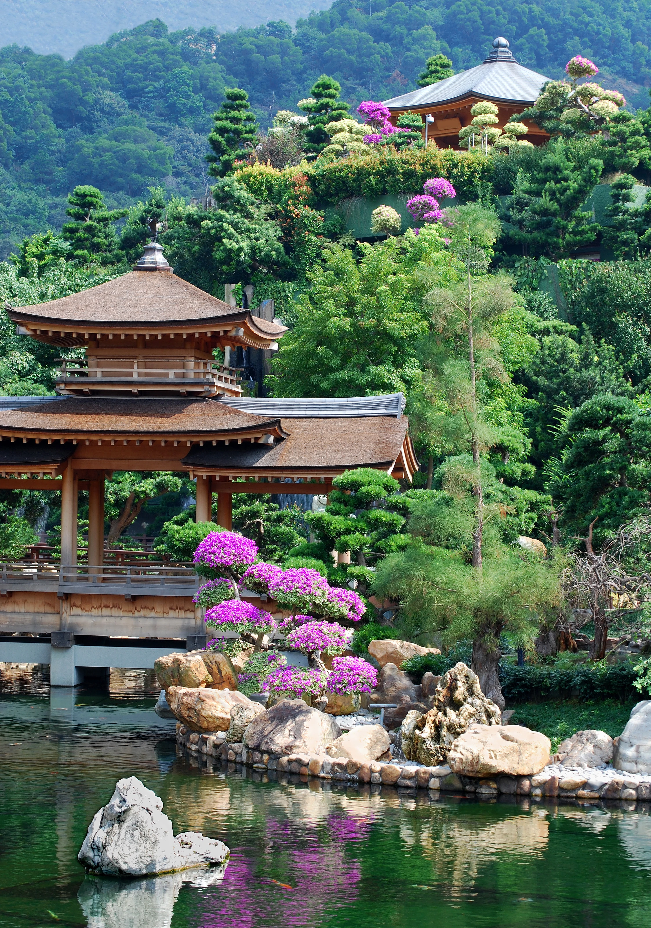 Oriental Serenity Garden
