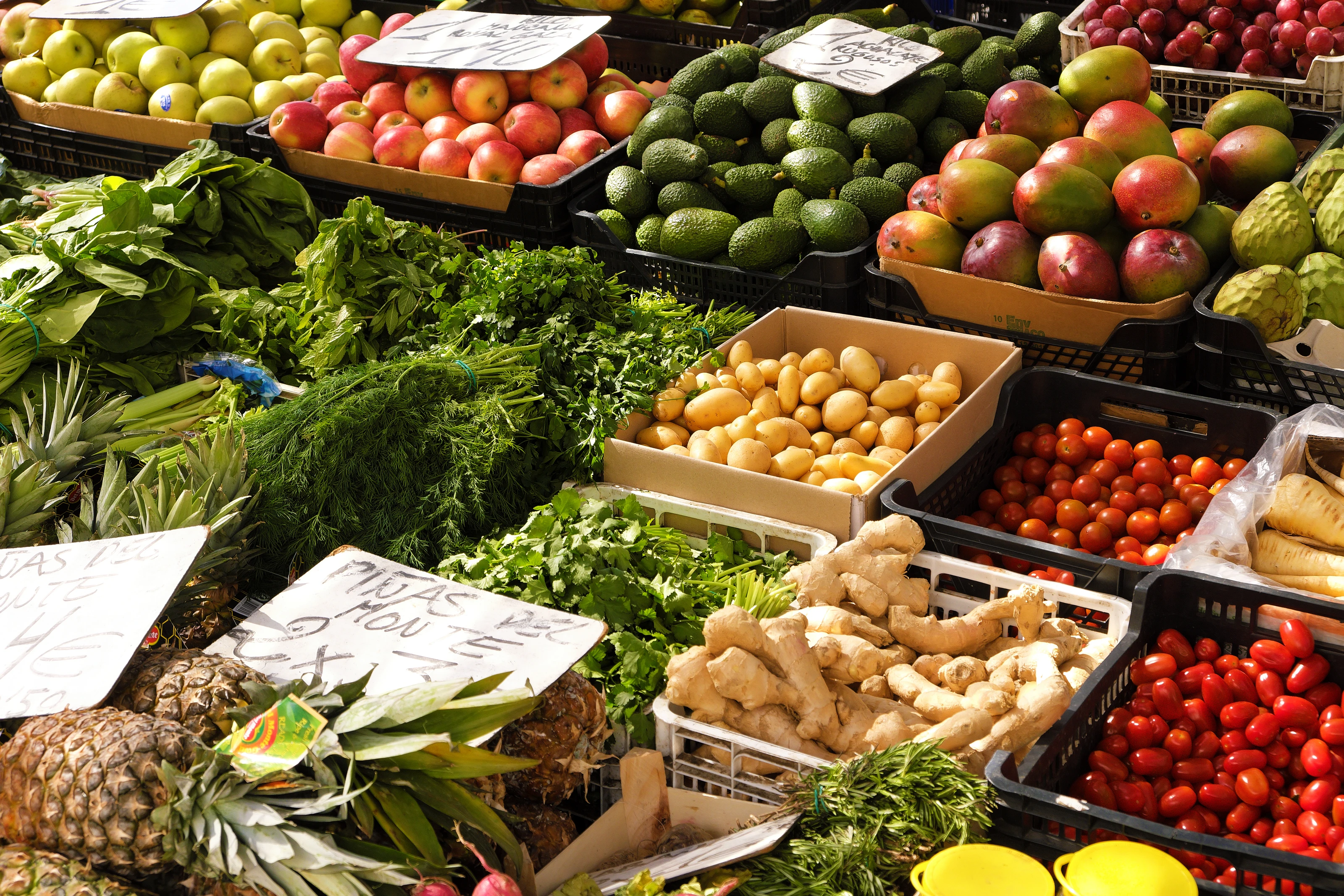 Market Fresh Bounty