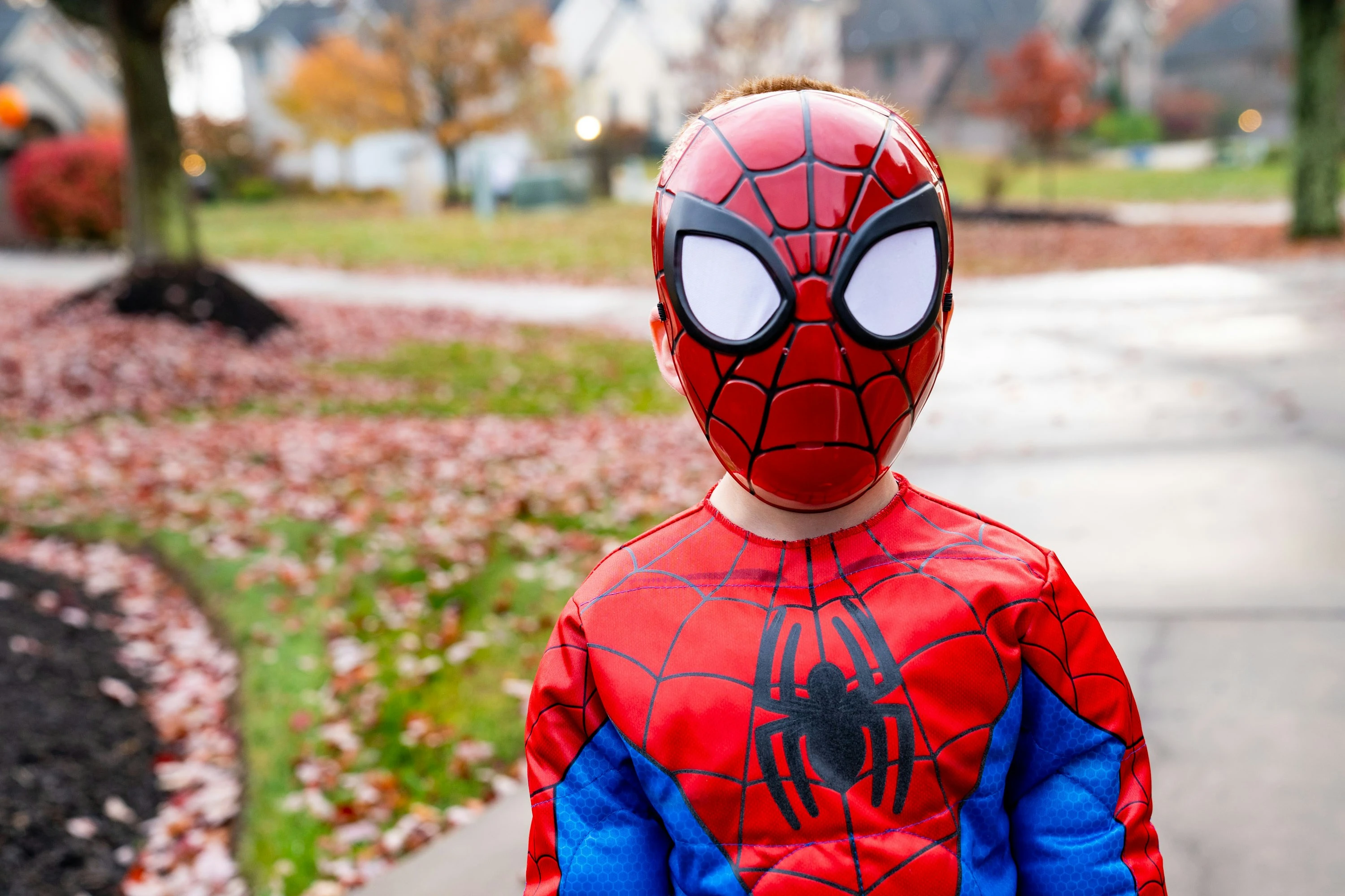 Hero in Training