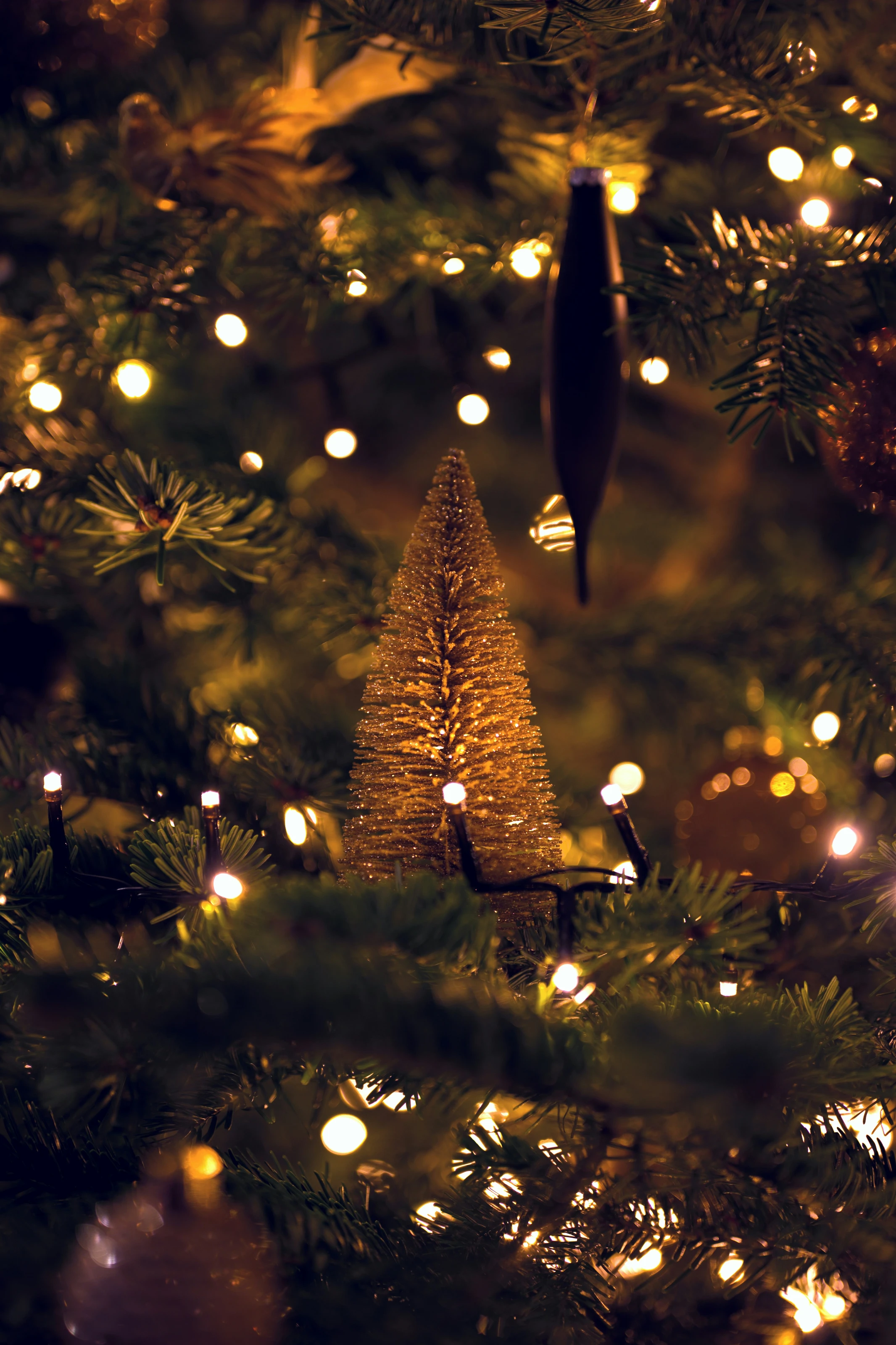 Twinkling Gold Tree Focus