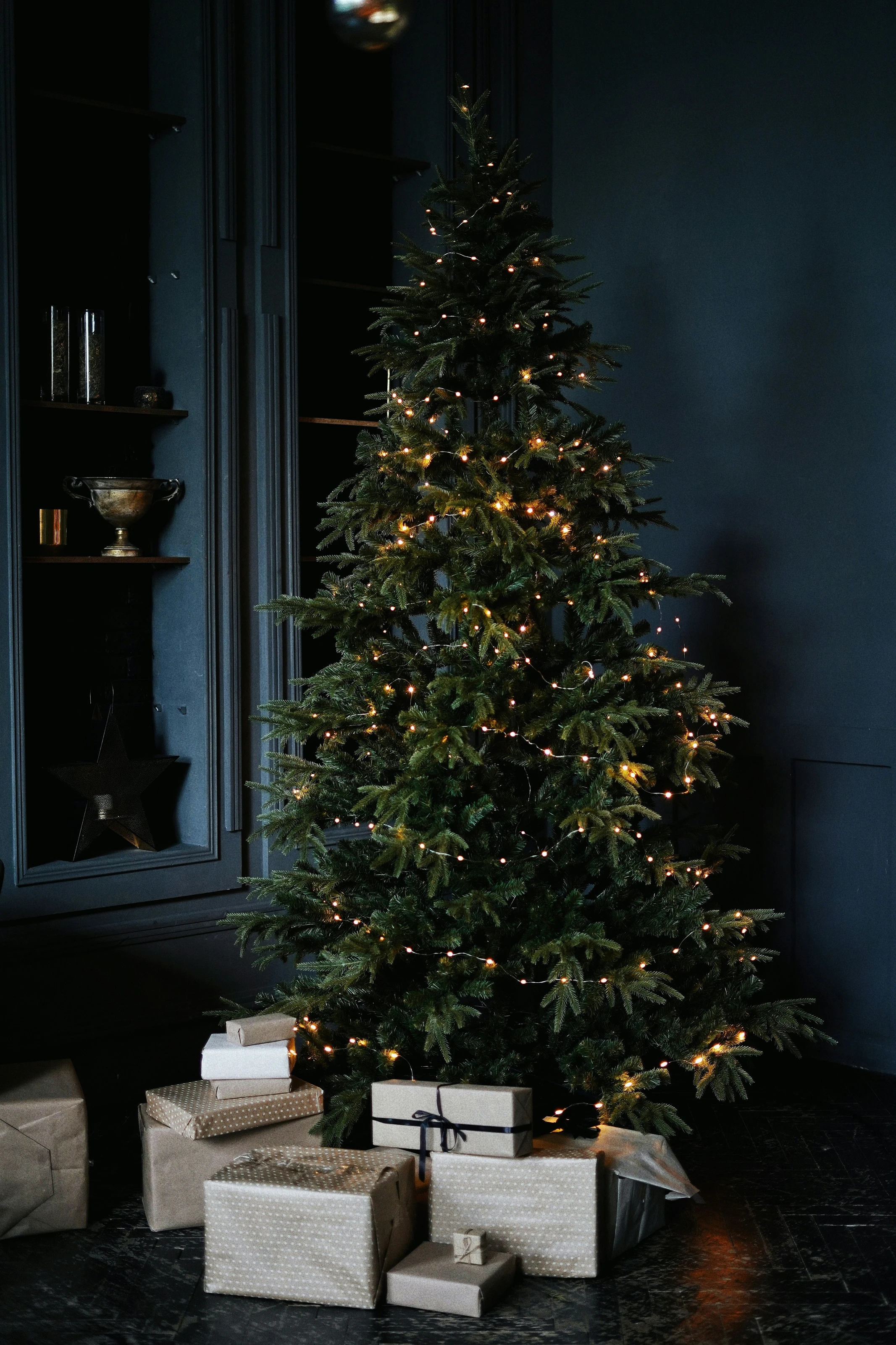 Silent Night Pine