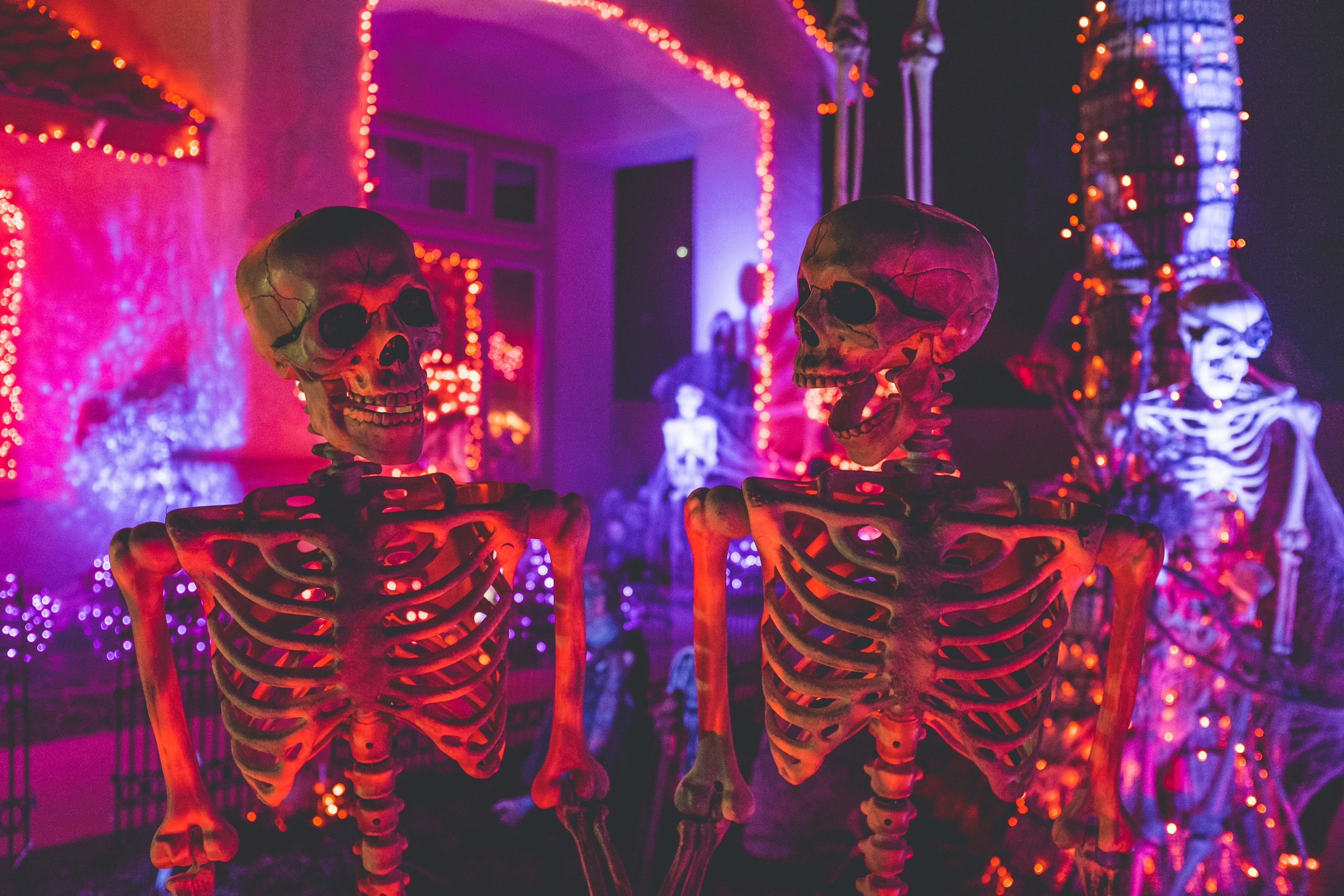 The Boneyard Bash