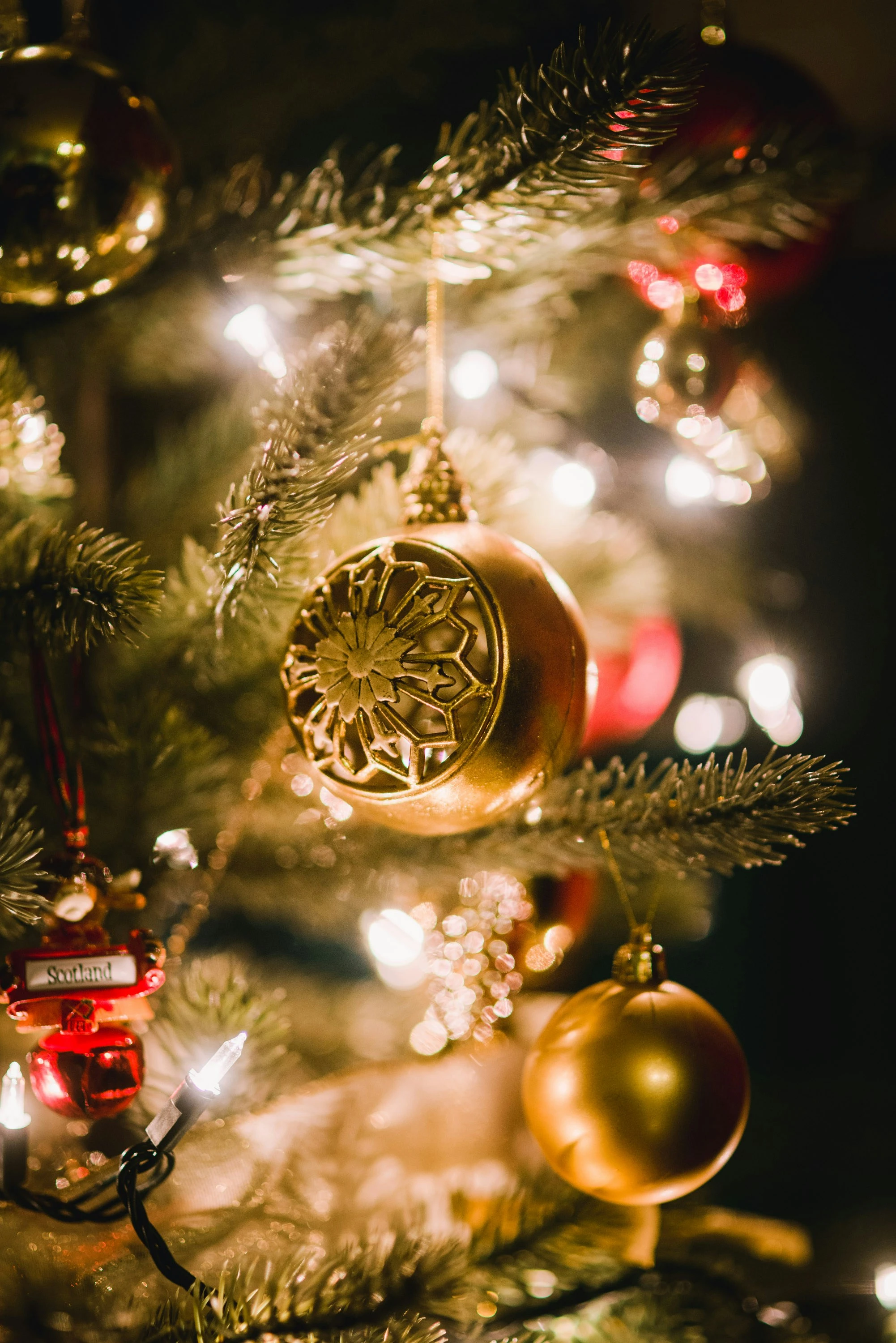Golden Christmas Sparkle