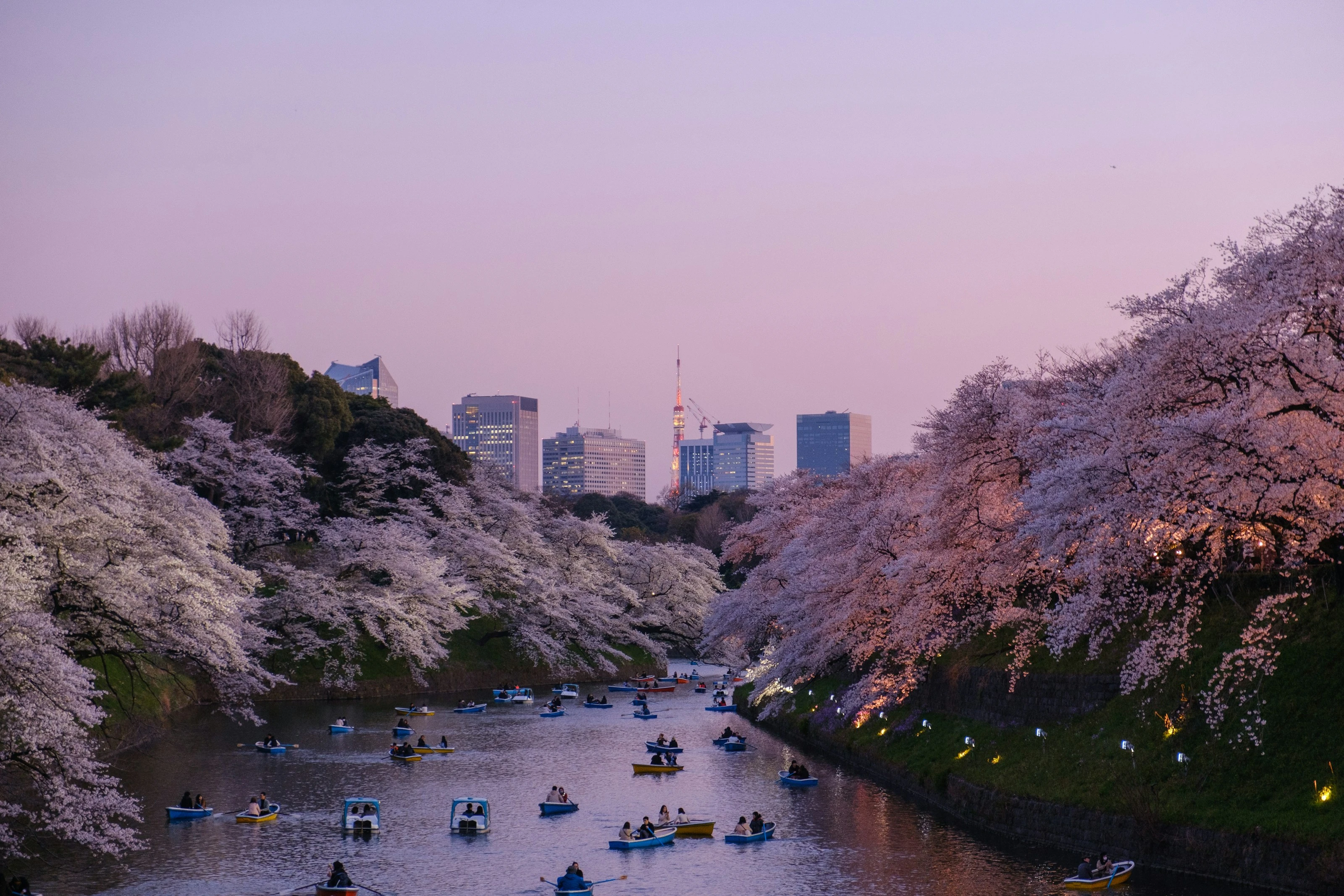 City Blossoms Moat